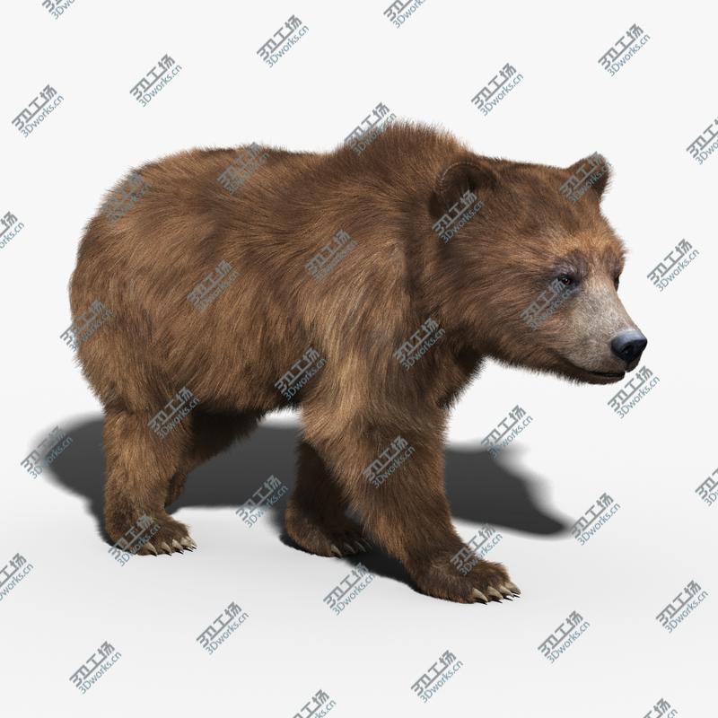 images/goods_img/202105073/Brown Bear(FUR)(RIGGED)/1.jpg